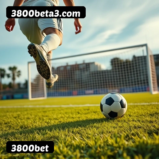 Comparação APP mobile vs versão web da 3800bet